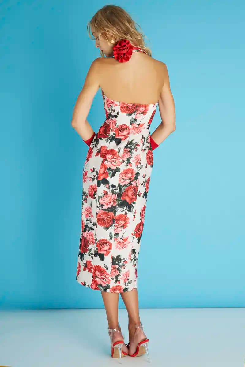 ROSAS VESTIDO 2